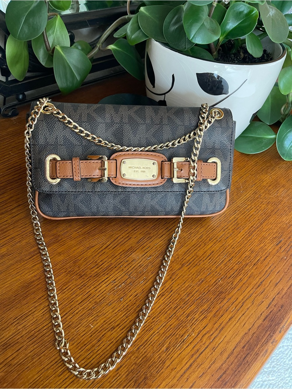 Michael Kors Hamilton Chain Crossbody Bag